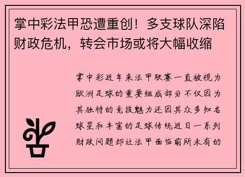 掌中彩法甲恐遭重创！多支球队深陷财政危机，转会市场或将大幅收缩