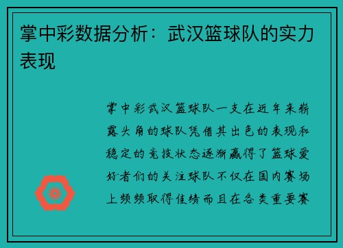 掌中彩数据分析：武汉篮球队的实力表现