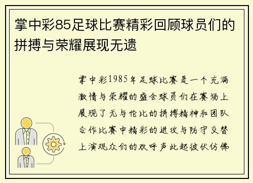 掌中彩85足球比赛精彩回顾球员们的拼搏与荣耀展现无遗