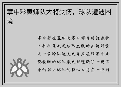 掌中彩黄蜂队大将受伤，球队遭遇困境